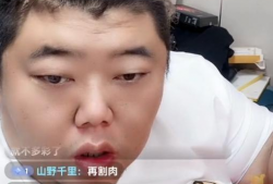 陈泽91直播蛋仔,揭秘蛋仔游戏背后的精彩故事