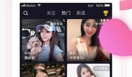 手机在线直播91,揭秘热门直播平台的魅力与挑战